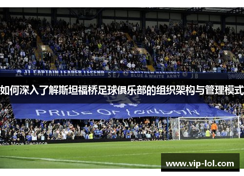 如何深入了解斯坦福桥足球俱乐部的组织架构与管理模式