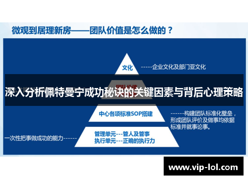 深入分析佩特曼宁成功秘诀的关键因素与背后心理策略