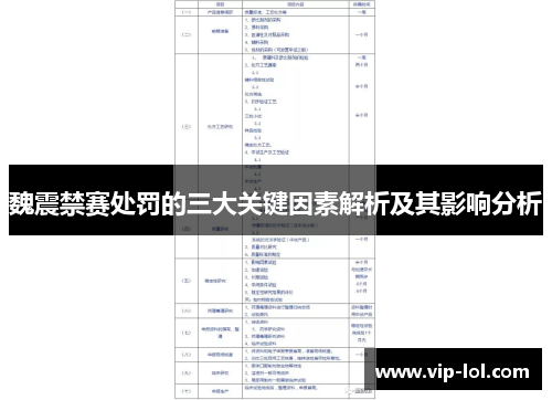 魏震禁赛处罚的三大关键因素解析及其影响分析